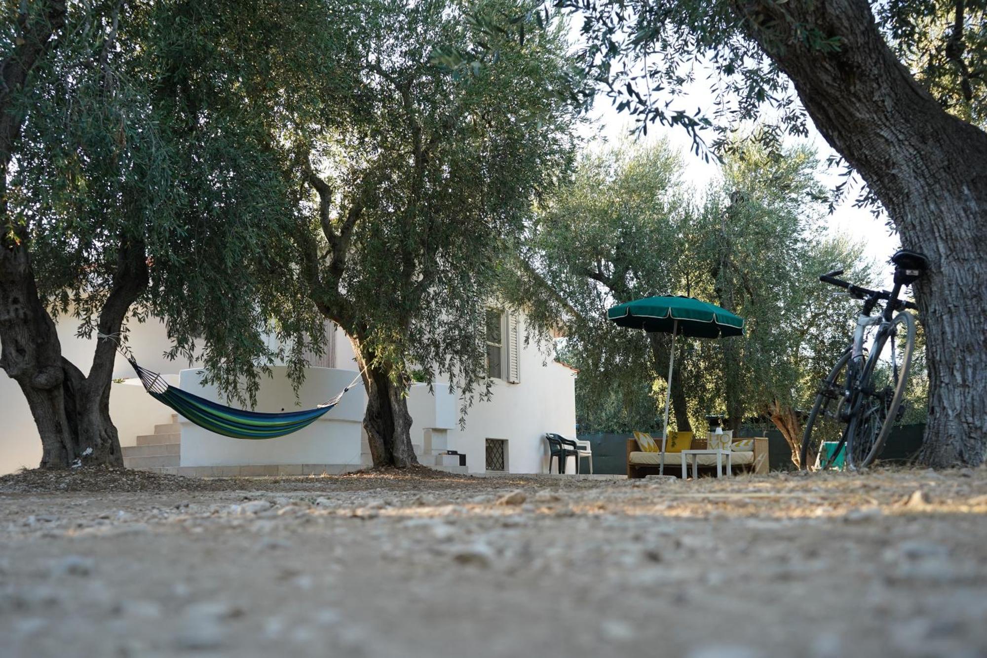 Olive&Sea Villa-Olive Mattinata Ngoại thất bức ảnh