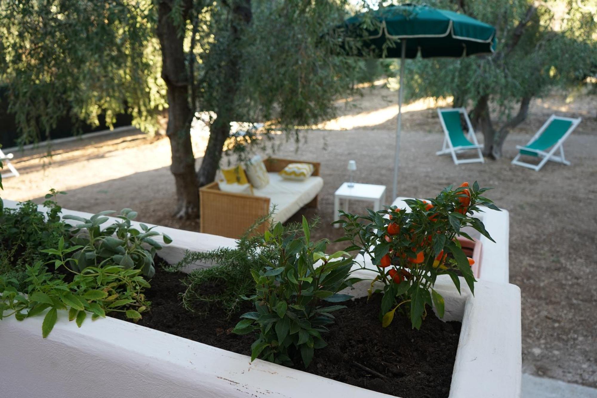 Olive&Sea Villa-Olive Mattinata Ngoại thất bức ảnh