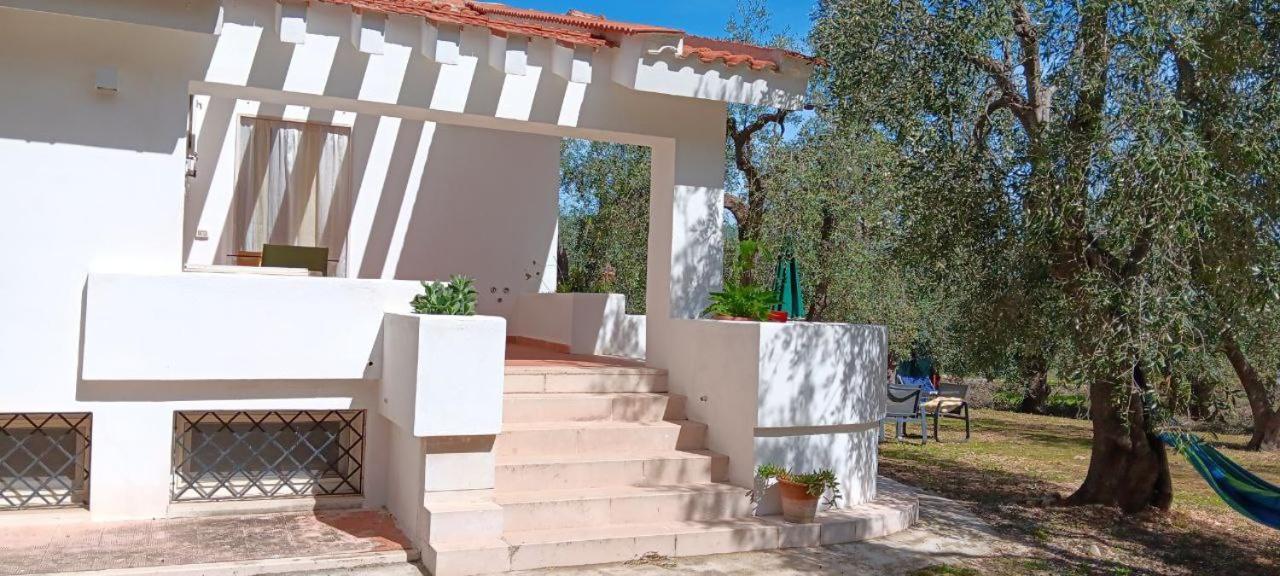 Olive&Sea Villa-Olive Mattinata Ngoại thất bức ảnh